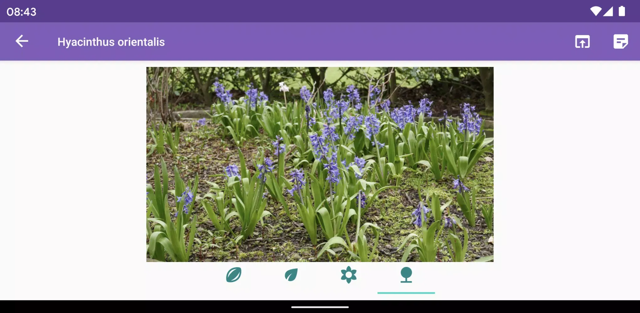 Flora Box Screenshots