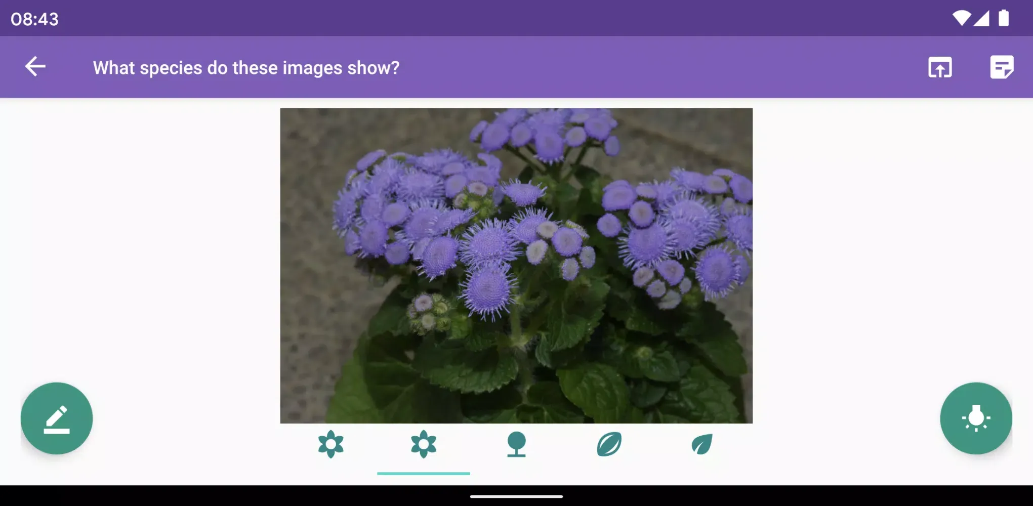 Flora Box Screenshots
