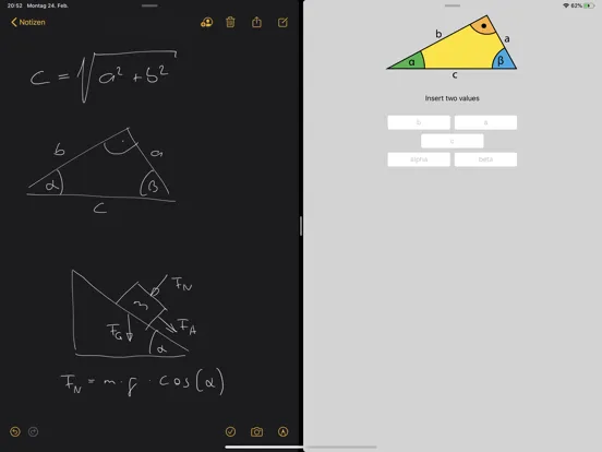 Screenshot di Right Triangle Solver iPad 