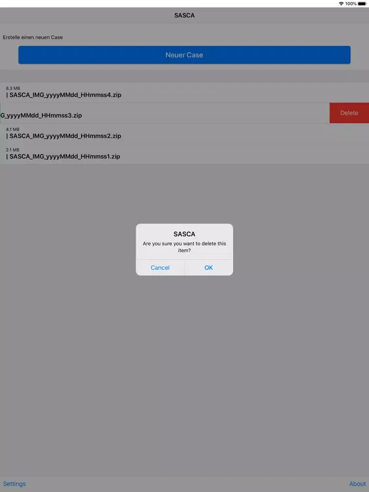 Screenshot di SASCA for XenMobile iPad 