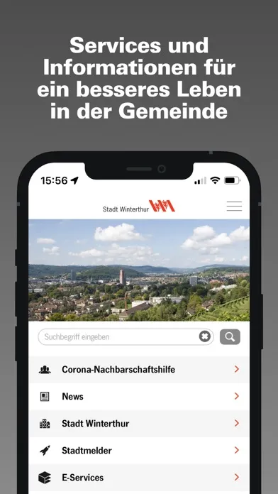 Capturas de pantalla de Winterthur