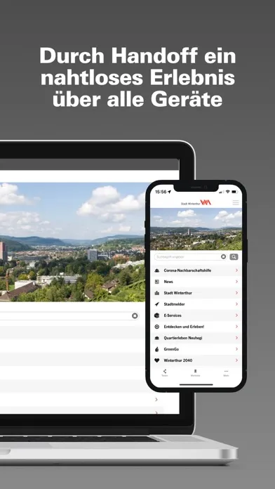 Capturas de pantalla de Winterthur