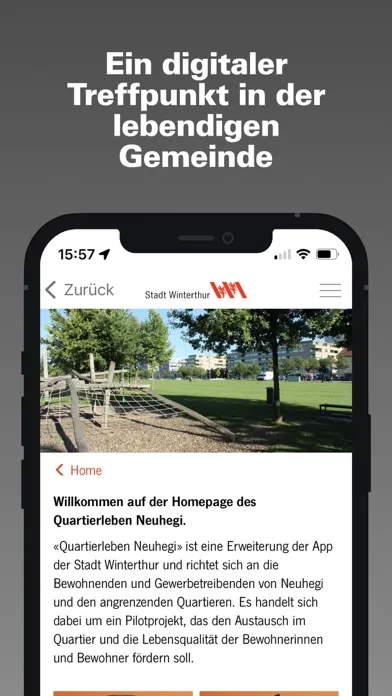 Capturas de pantalla de Winterthur