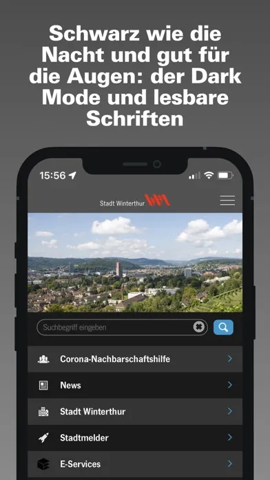 Capturas de pantalla de Winterthur