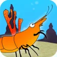 Super Shrimp: Ocean Platformer