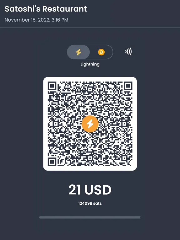 Swiss Bitcoin Pay iPad 应用截图