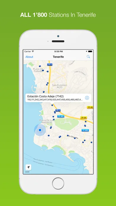 Ảnh chụp màn hình của Tenerife Public Transport