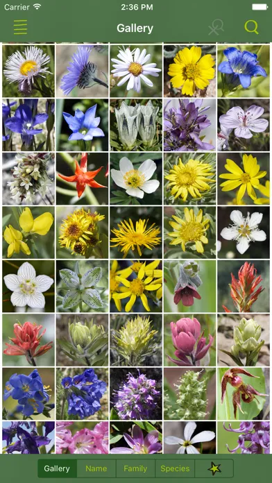 صور Rockies AlpineFlower Finder – a field guide to identify the wildflowers of the Rocky Mountains