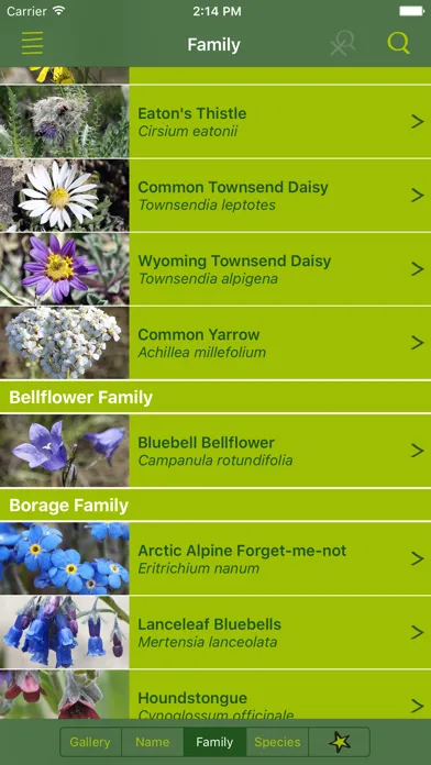 صور Rockies AlpineFlower Finder – a field guide to identify the wildflowers of the Rocky Mountains