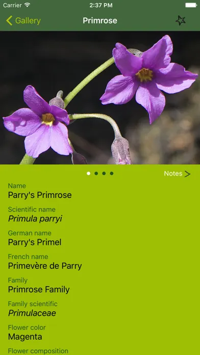 صور Rockies AlpineFlower Finder – a field guide to identify the wildflowers of the Rocky Mountains
