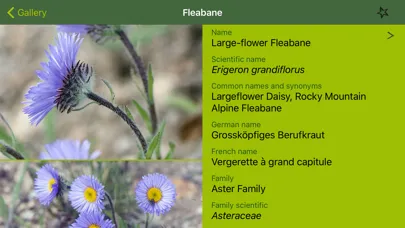 صور Rockies AlpineFlower Finder – a field guide to identify the wildflowers of the Rocky Mountains