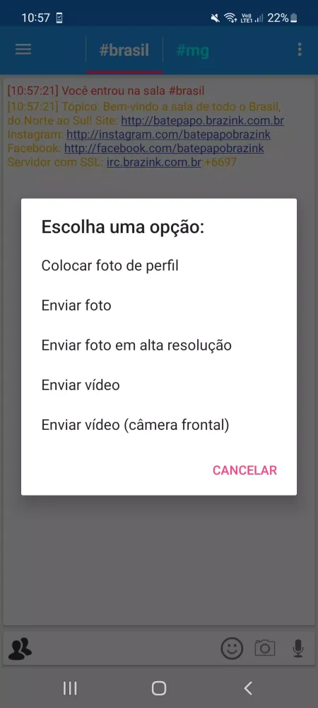 Brazink Chat Screenshots