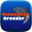 BlackBassBreeder®