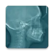 Oral Radiology