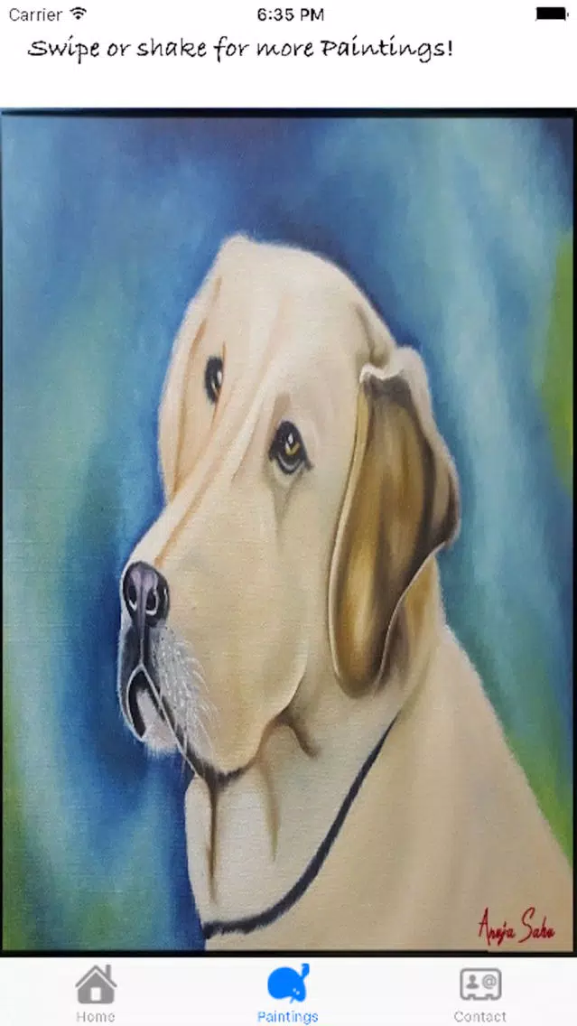 Скриншоты Krisham Paintings