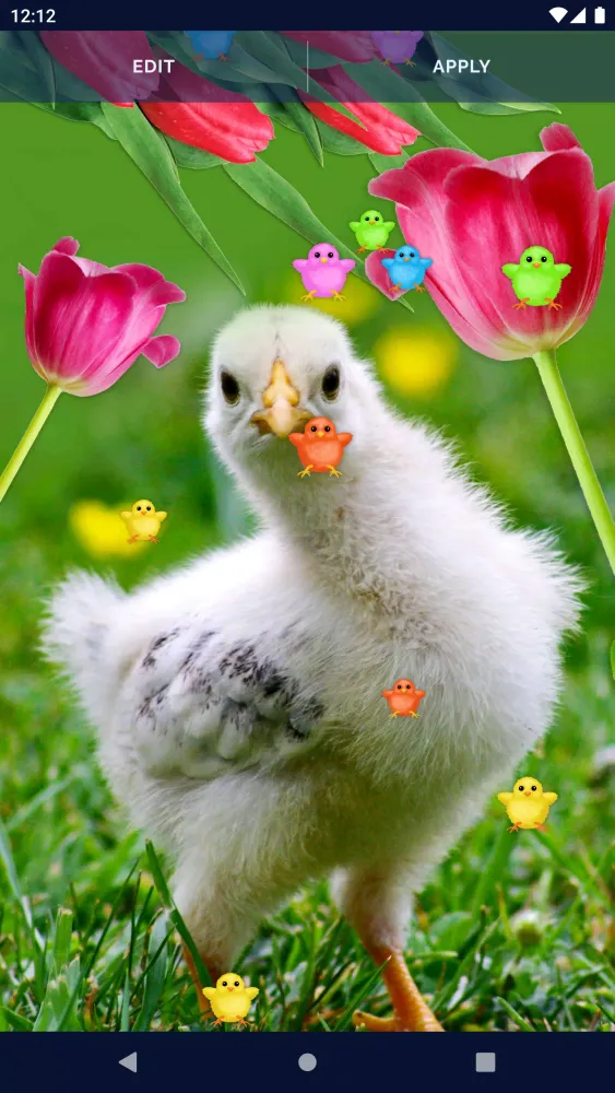 Easter Chicks Live Wallpaper Screenshots