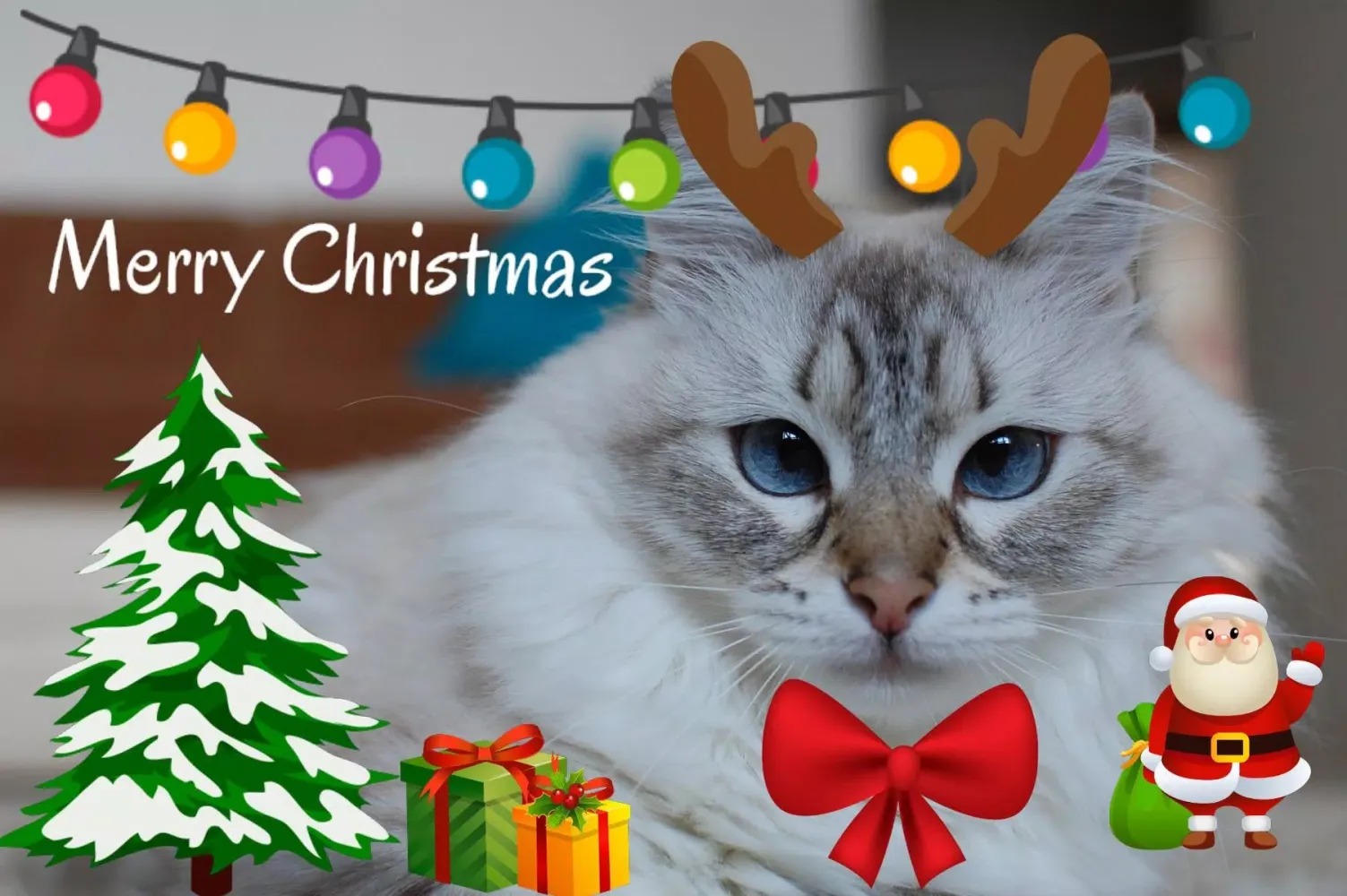Capturas de pantalla de Christmas Photo Stickers
