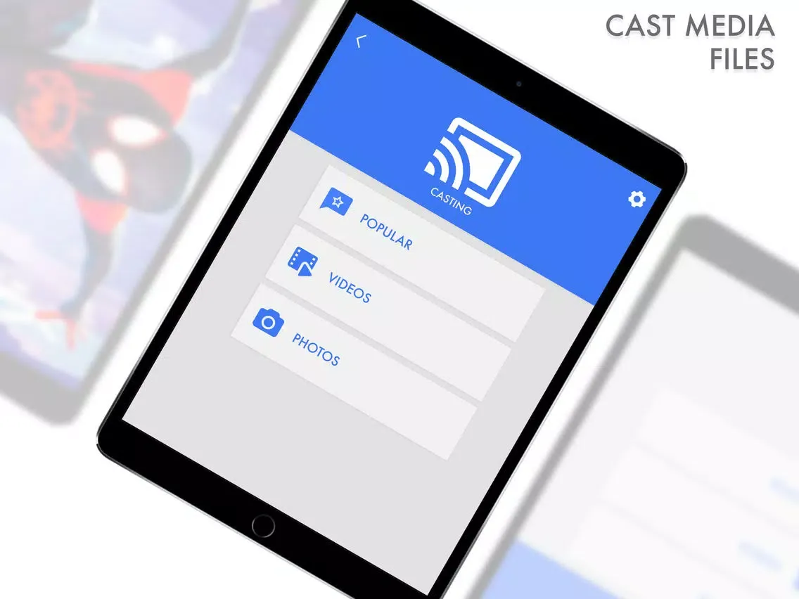 Setup for Chromecast iPad 應用截圖