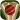 CricketQuiz