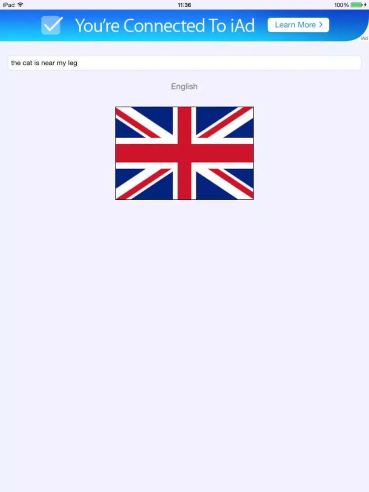 Which Language iPad  স্ক্রিনশট
