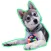 Alaskan Klee Kai