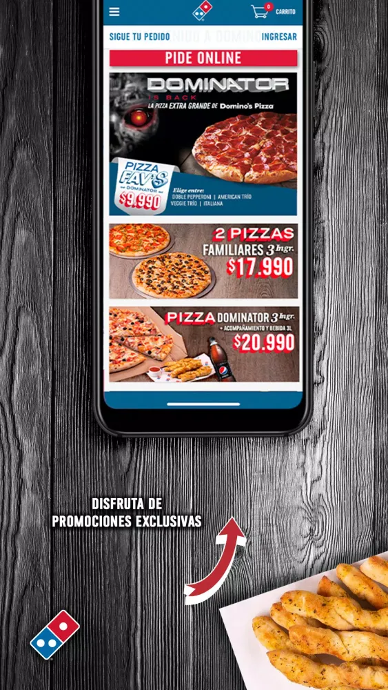 Domino's Pizza Chile Screenshots