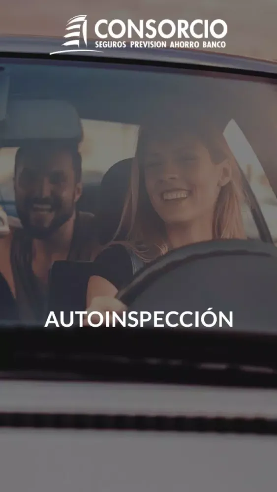Captures d'écran de Autoinspección Consorcio