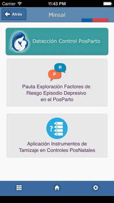 Detección Depresión Embarazo y Posparto スクリーンショット