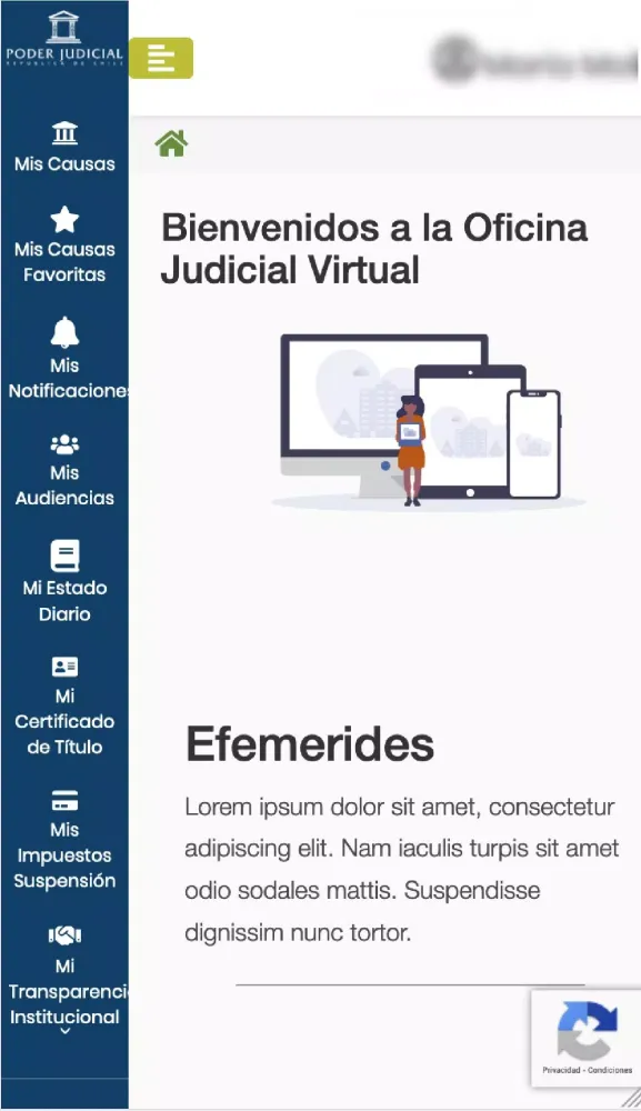 Oficina Judicial Virtual Screenshots