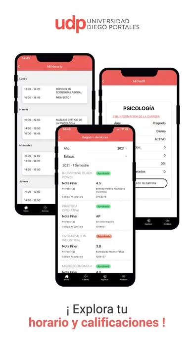 Conecta Udp Screenshots