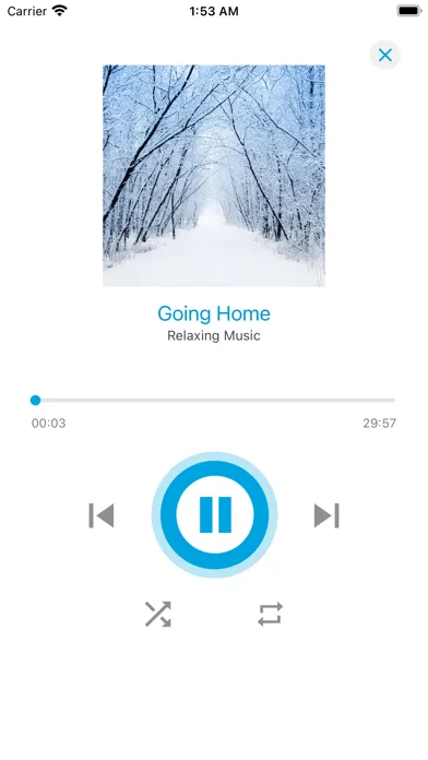 Tinnitus App by Cleanhearing应用截图