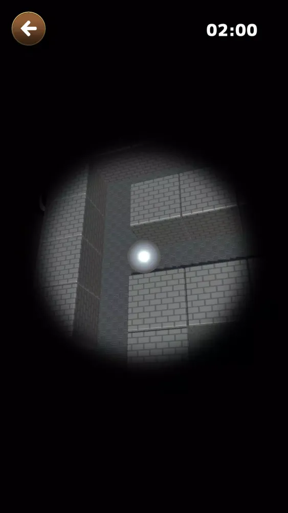 Captures d'écran de Maze Ball Random