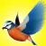 Climb Bird Climb - A Bird Jumper Game