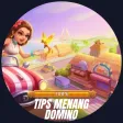 Higgs Domino Guide X8 Speeder