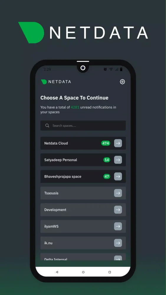 Netdata Mobile應用截圖