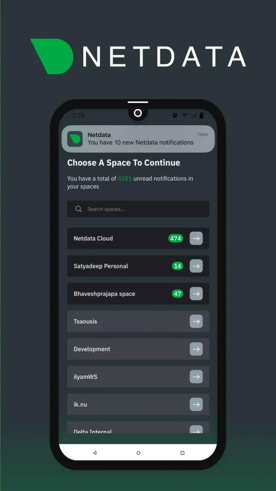 Netdata Mobile應用截圖