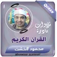 محمود الخشت