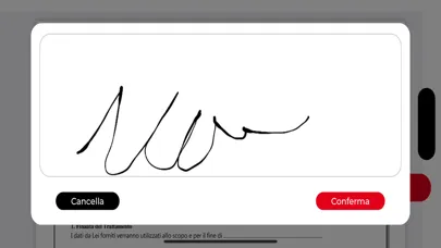 Скриншоты Firma Elettronica Salvadori