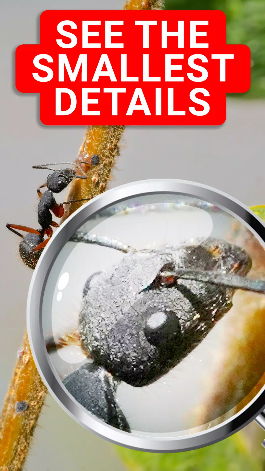 Magnifying Glass & Microscope Screenshots
