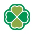 Hail Hail Hail Hail