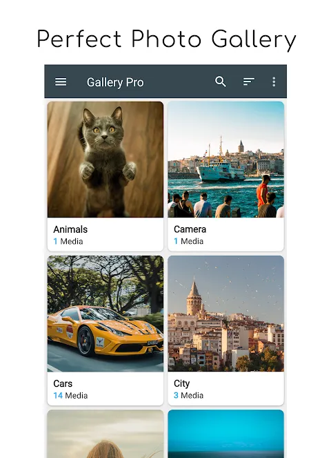 ภาพหน้าจอของ Gallery