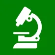 Block Adjustment Calculator Block Adjustment Calculator