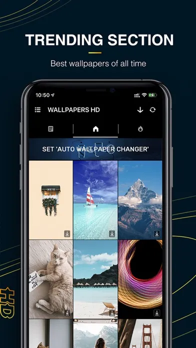 Wallpaper Changer HD سکرین شاٹس