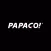 PAPAGO DVR