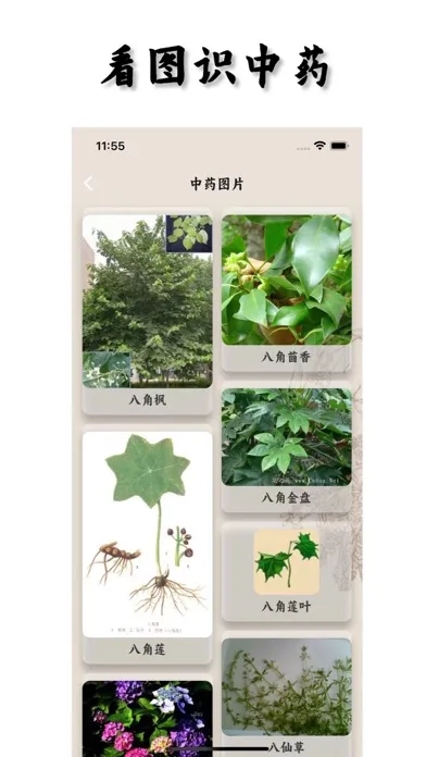 Captures d'écran de Chinese Medicines