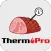 ThermoPro BBQ