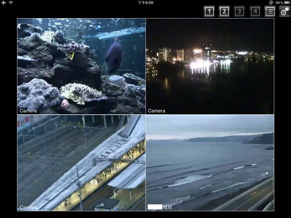 Camera Network Control Viewer iPad  스크린샷