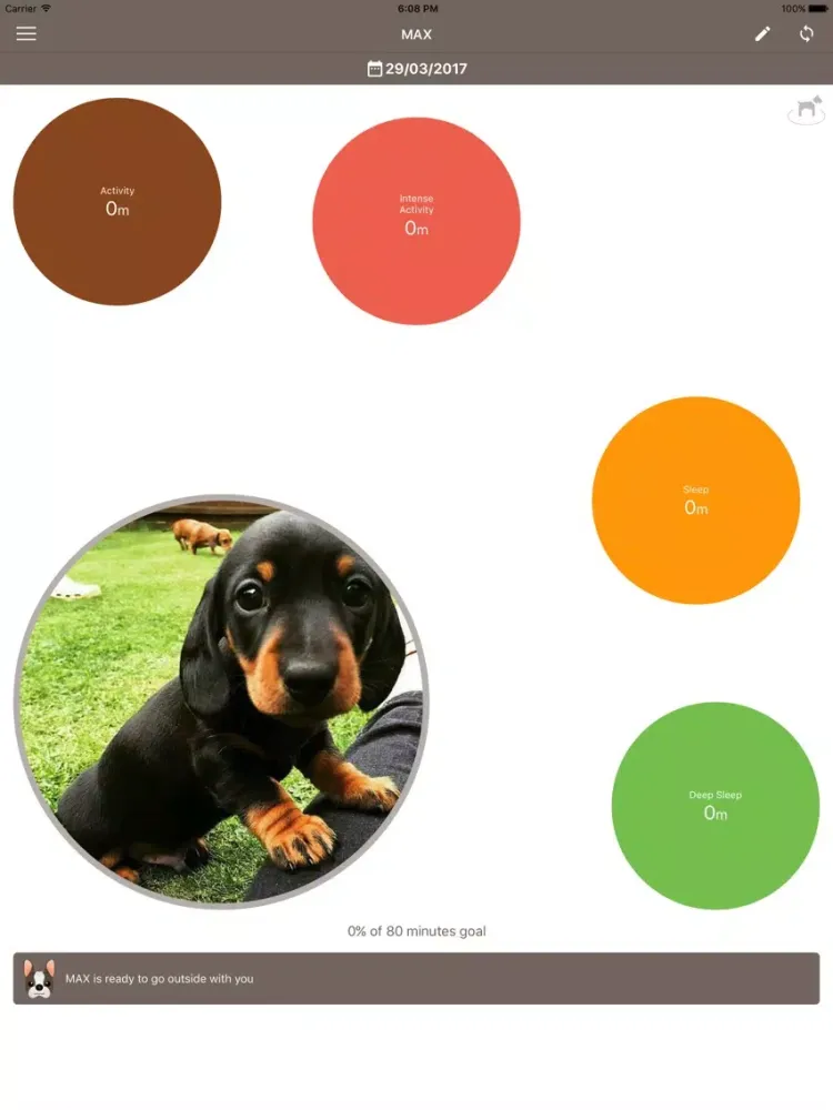 Hi-Pet iPad  Screenshots