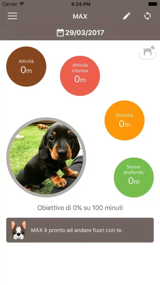 Hi-Pet Screenshots