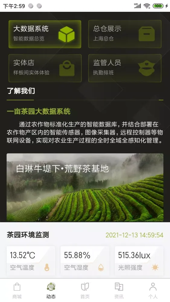 صور 一亩茶园